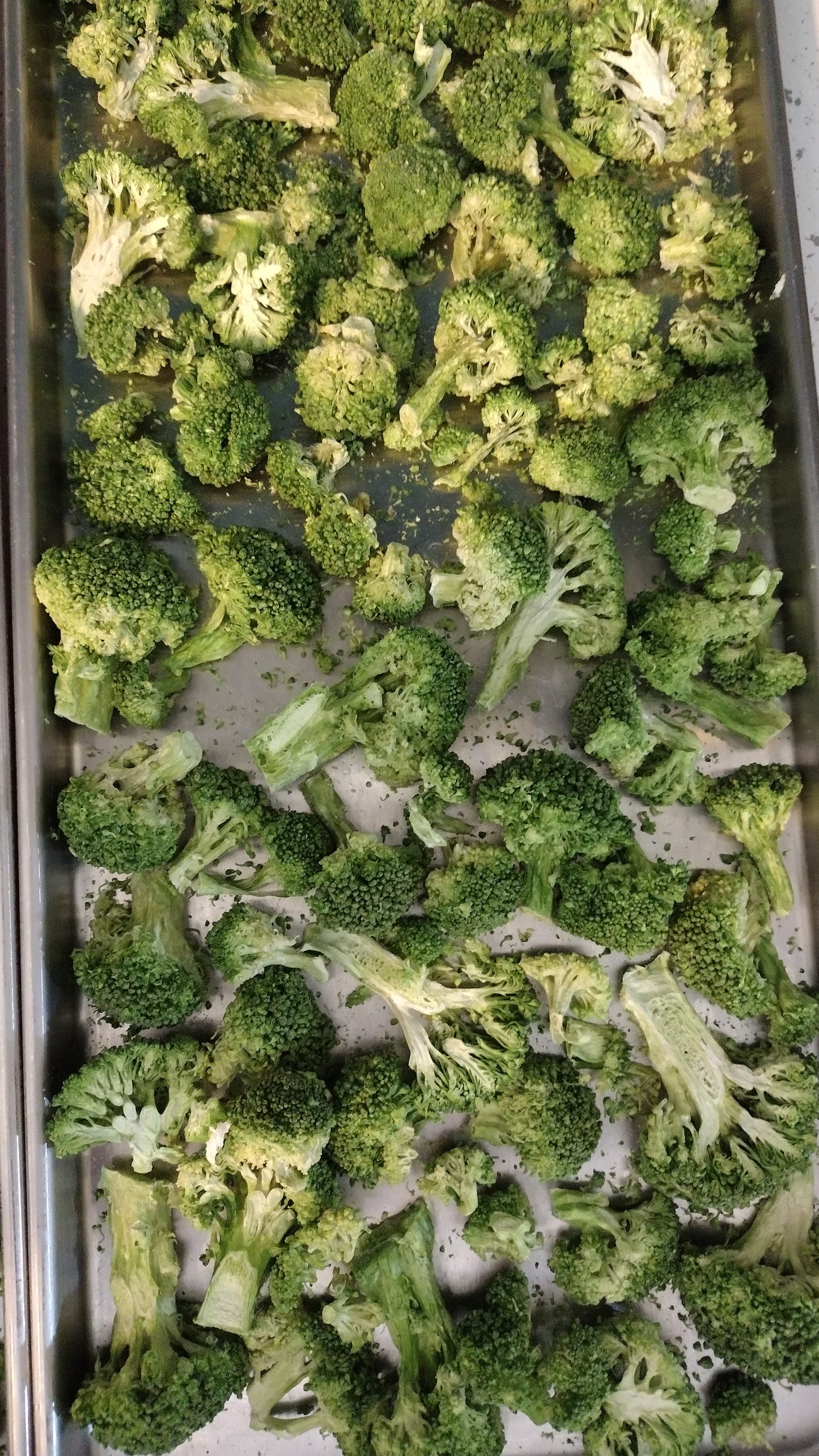 Freeze Dried Brocolli Florets